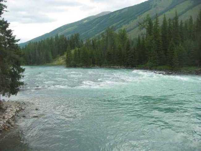 天堂很远喀纳斯很近,图六