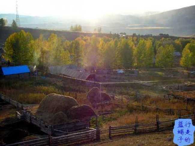 新疆圆舞曲7,图五