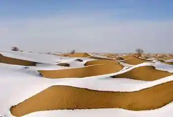 并不荒凉的塔克拉玛,图一