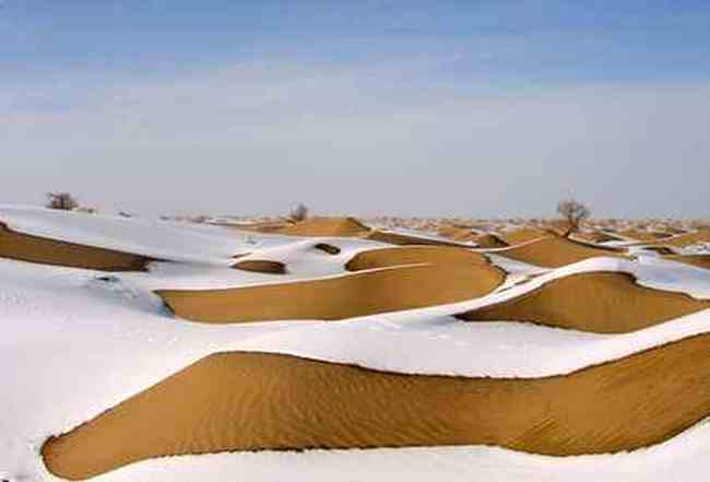 并不荒凉的塔克拉玛,图一