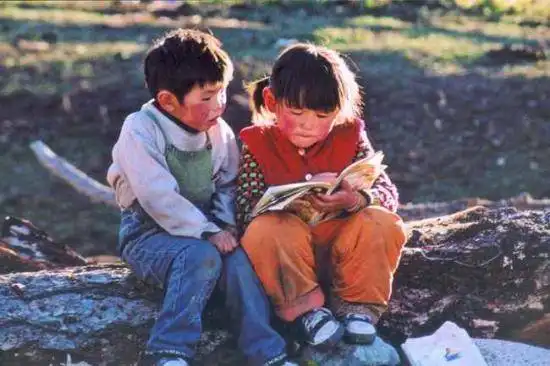 喀纳斯金秋掠影记