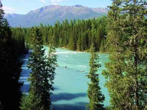 喀纳斯东线马帮探奇游(终结篇)