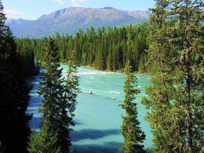 喀纳斯东线马帮探奇游(终结篇),图二