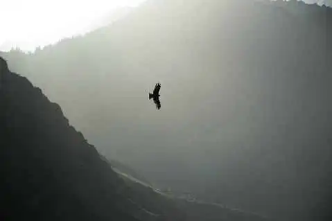 (北疆之七)天池