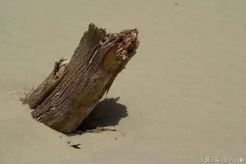 穿越塔克拉玛干（中）,图二十二