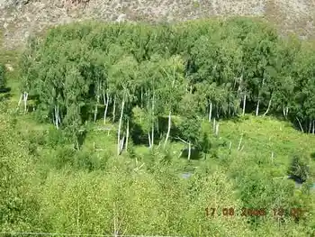 COLORFULDAYSINMYHEART-美丽的国之边境：白哈巴,图十五