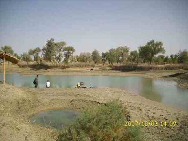 心旷神怡的罗布人村寨,图六