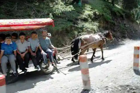 (北疆之六)南山牧场
