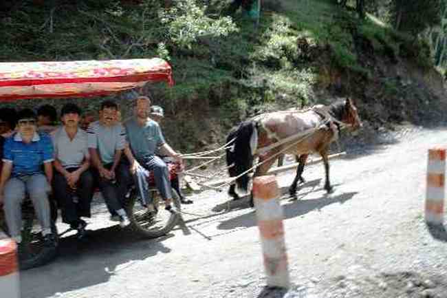 (北疆之六)南山牧場,圖十五
