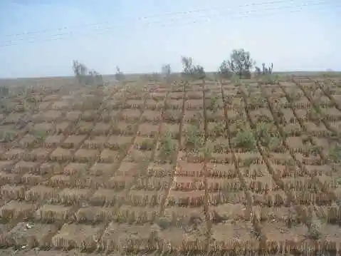 新疆行:绵延的荒凉