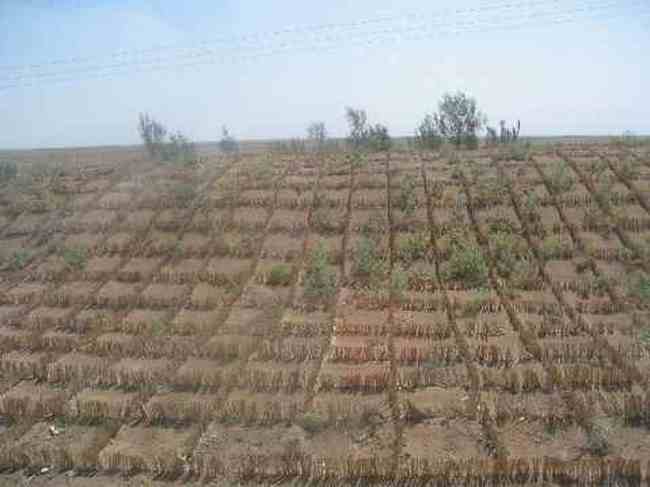 新疆行:绵延的荒凉,图七