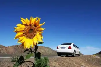 新疆行---布尔津,图一