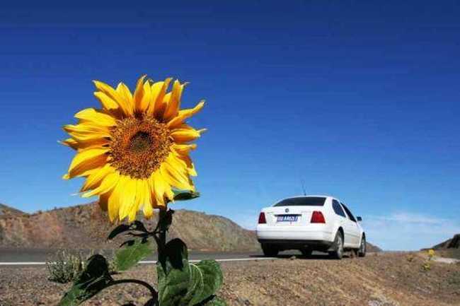 新疆行---布尔津,图一