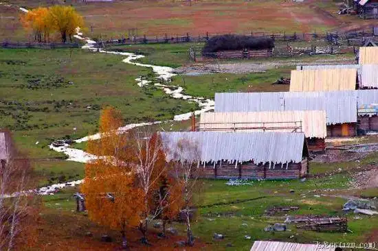 万里追寻,西域绝美的浪漫印象