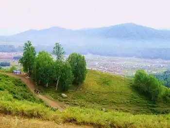 喀纳斯东线马帮探奇游(二),图五