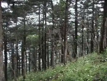 爱上行走的感觉——冰晶顶－桦林湾穿越记行,图一