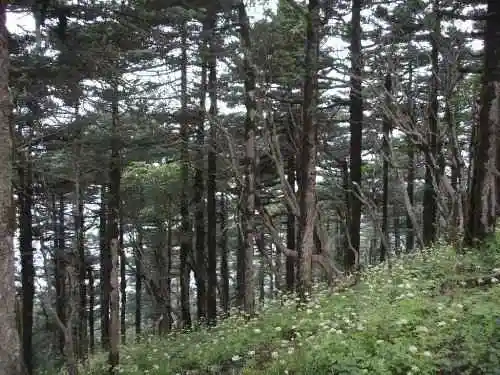 爱上行走的感觉冰晶顶－桦林湾穿越记行