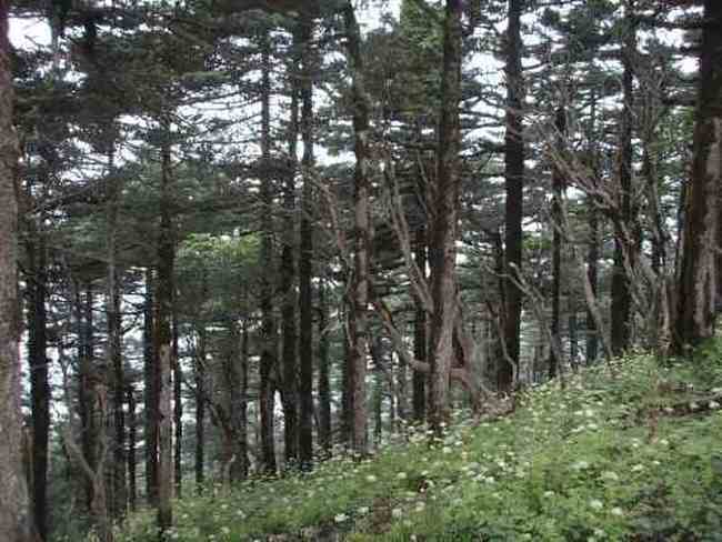 爱上行走的感觉——冰晶顶-桦林湾穿越记行,图一