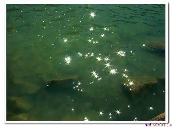 星光灿烂的喀纳斯湖