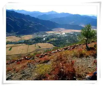 迷途阿尔泰,图六