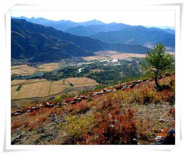 迷途阿尔泰,图六