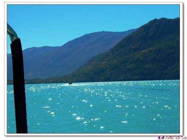 星光灿烂的喀纳斯湖,图十三