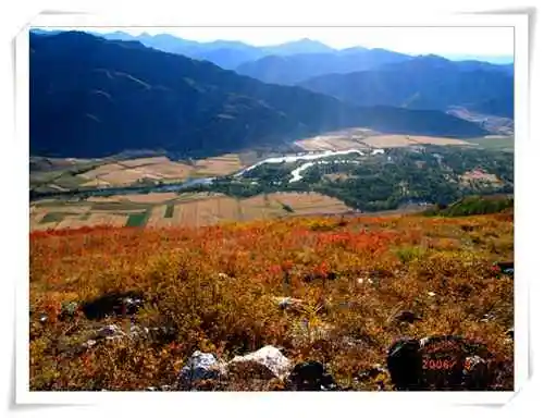 迷途阿尔泰