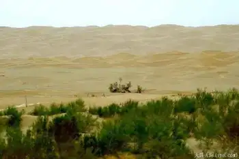 穿越塔克拉玛干（下）,图七