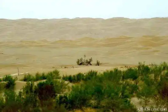 穿越塔克拉玛干（下）