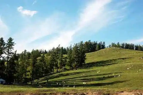 (北疆之二)贾登峪的夜与晨
