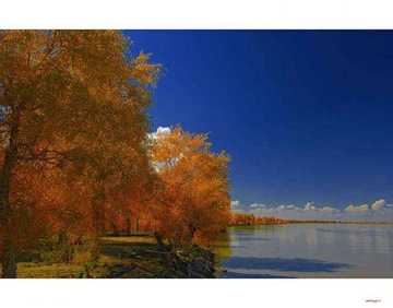 陶醉在塔里木河畔,图四