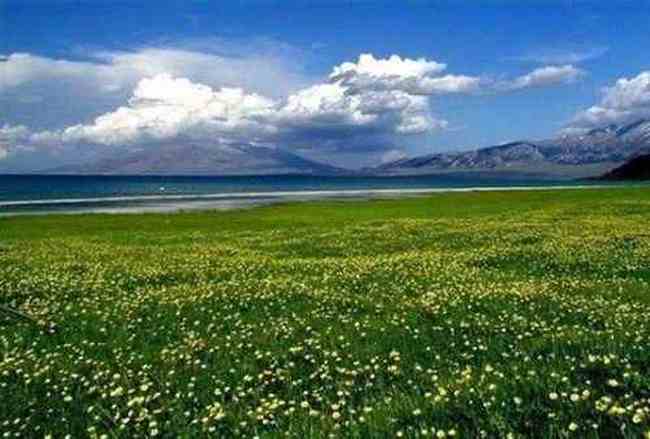 塞里木湖，花开时节,图一