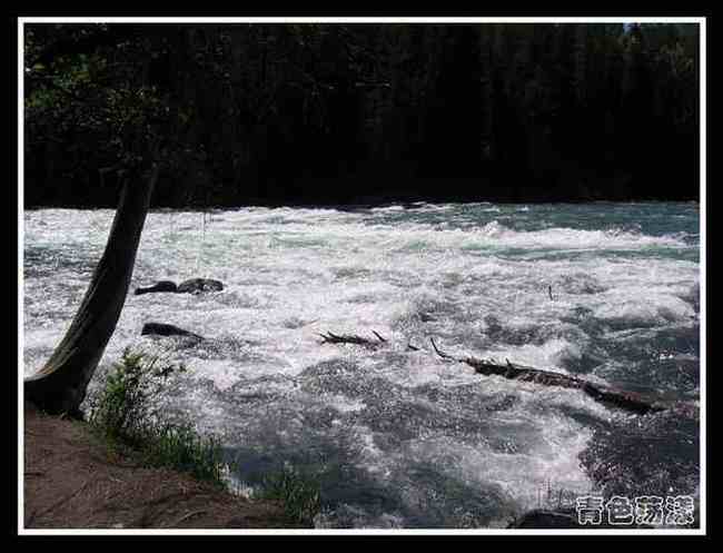 新疆散记10.变幻的喀纳斯湖,图六