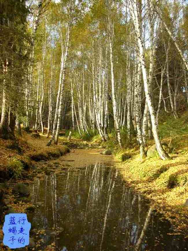 新疆圆舞曲3,图二十一