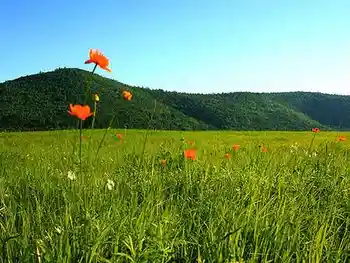 到青葱草原策马扬鞭,图九