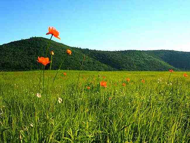到青葱草原策马扬鞭,图九