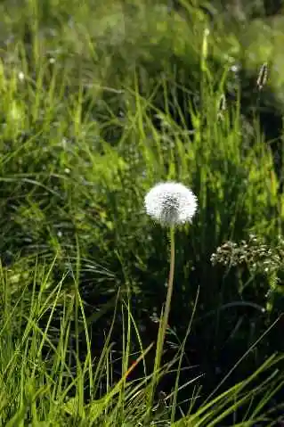 (北疆之二)贾登峪的夜与晨