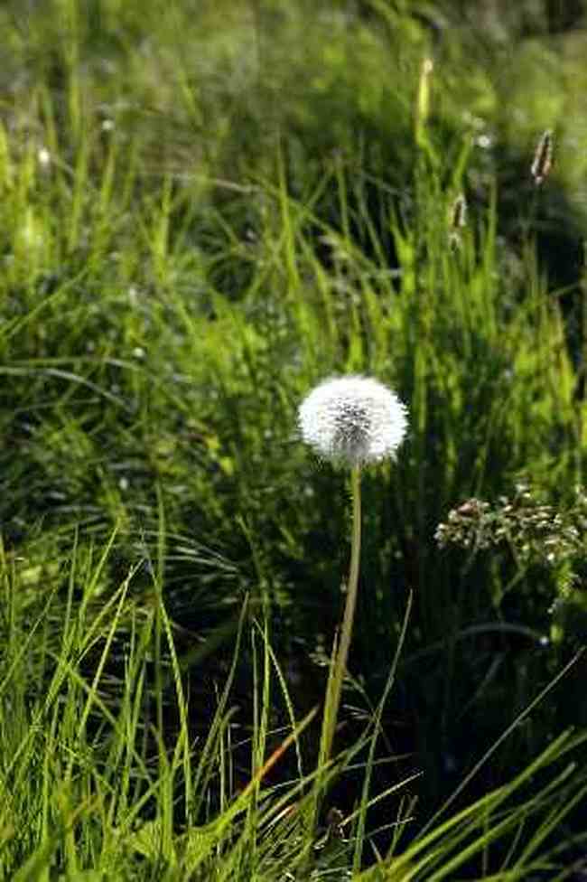 (北疆之二)贾登峪的夜与晨,图三
