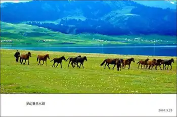 梦幻赛里木湖,图一