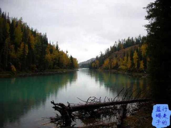 新疆圆舞曲6,图十四