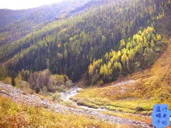 新疆圆舞曲4,图二