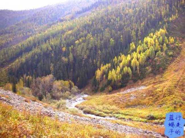 新疆圆舞曲4,图二