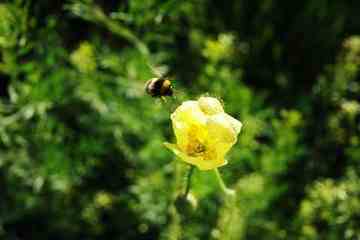 (北疆之二)贾登峪的夜与晨,图一