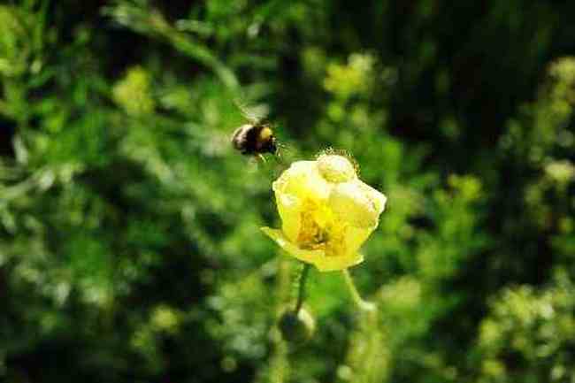 (北疆之二)贾登峪的夜与晨,图一
