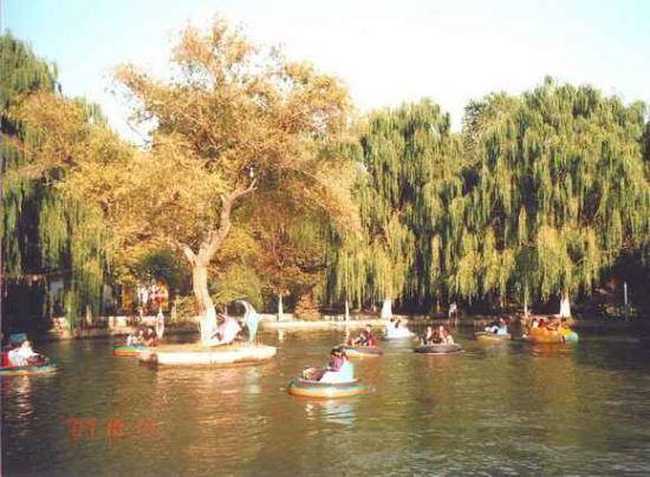 苍茫西北，我再难以忘情的地方!（一）,图五