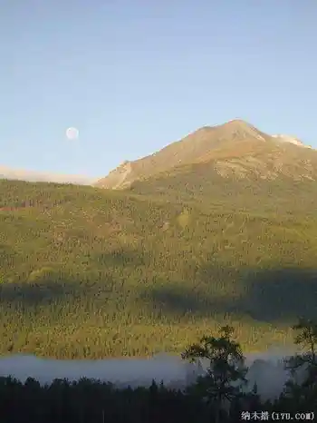 喀纳斯东线马帮探奇游(四),图二