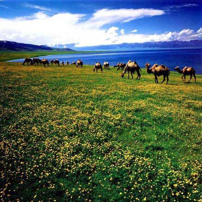 新疆:天池是一杯醉人的酒,图三