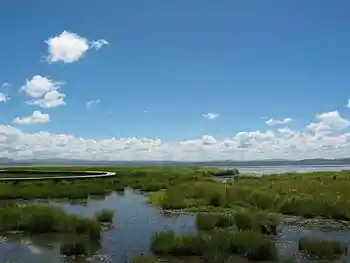 到青葱草原策马扬鞭,图十四