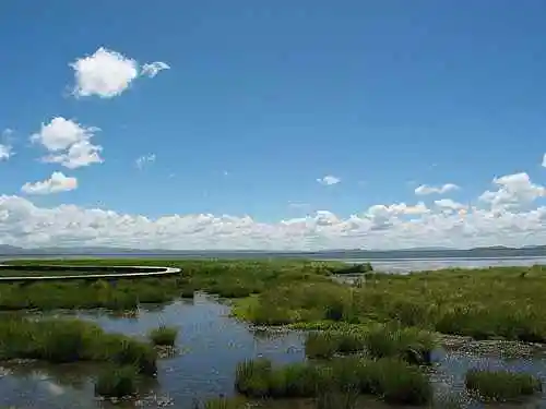 到青葱草原策马扬鞭