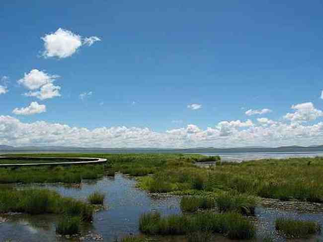 到青葱草原策马扬鞭,图十四